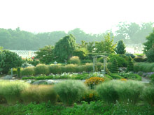 arboretum