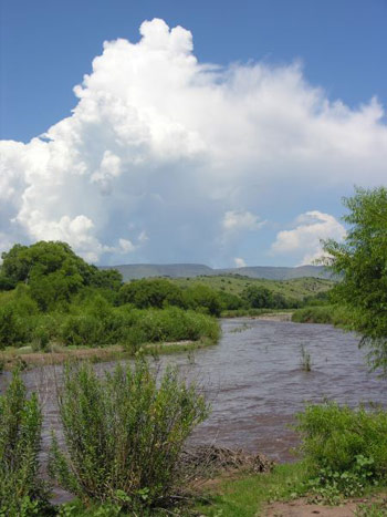 gila river