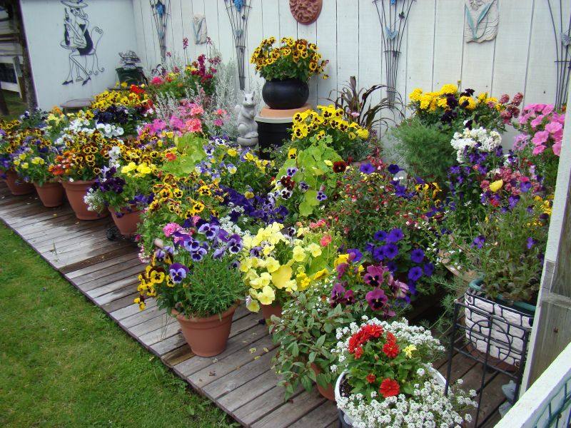 A Field Guide To Container Gardening, Garden Container Ideas Uk