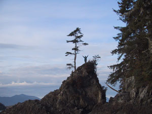 high atop bamfield